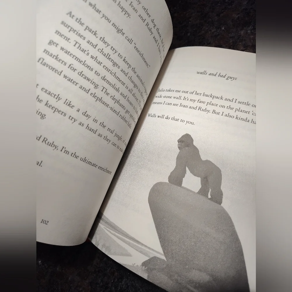 The One and Only Bob Book, Hardcover
